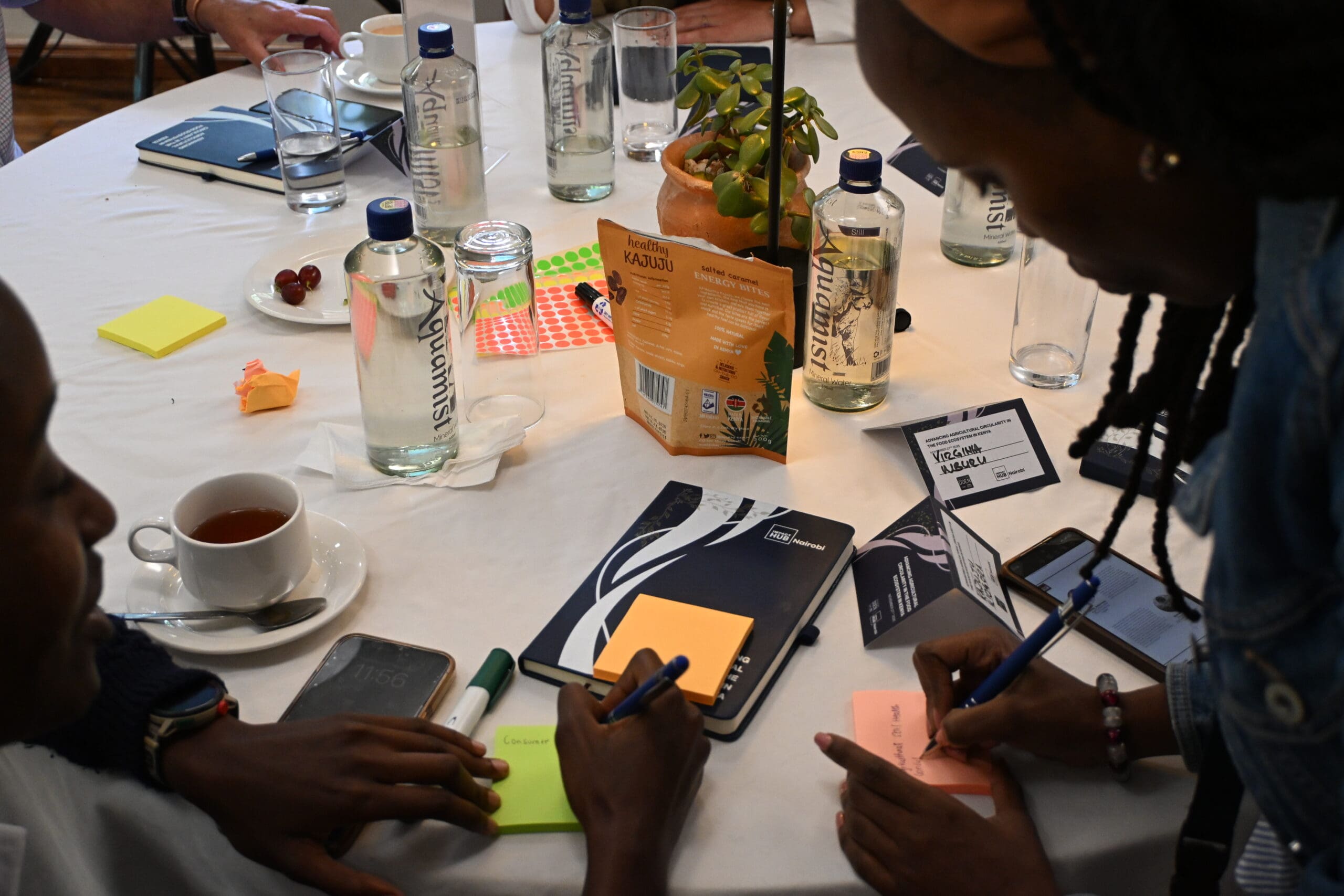 Advancing Agricultural Circularity Programme (AAC)